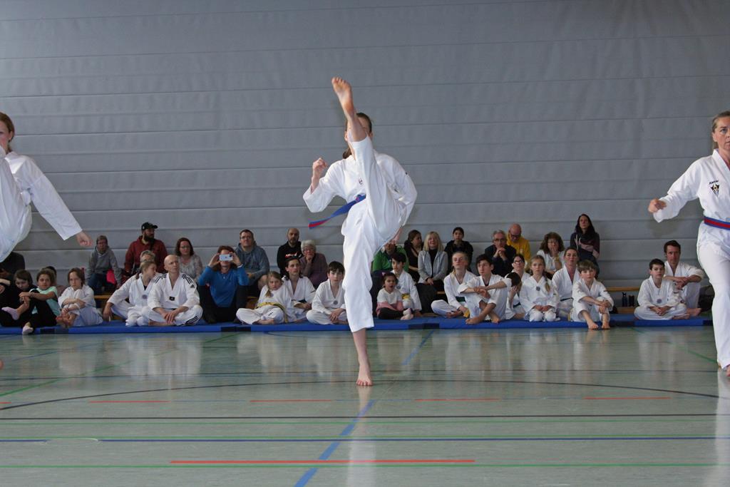 IMG_2247_bearbeitet-1