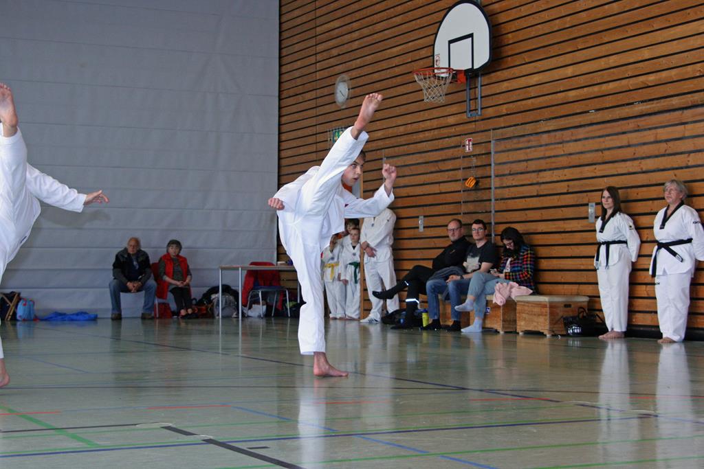 IMG_2251_bearbeitet-1