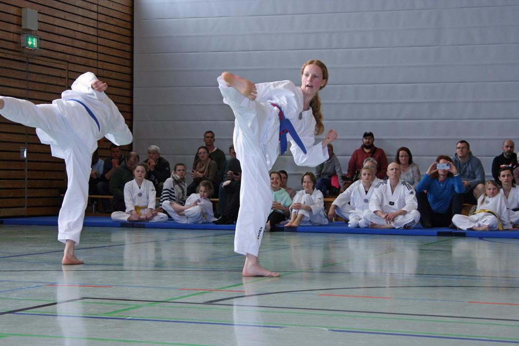 IMG_2256_bearbeitet-1