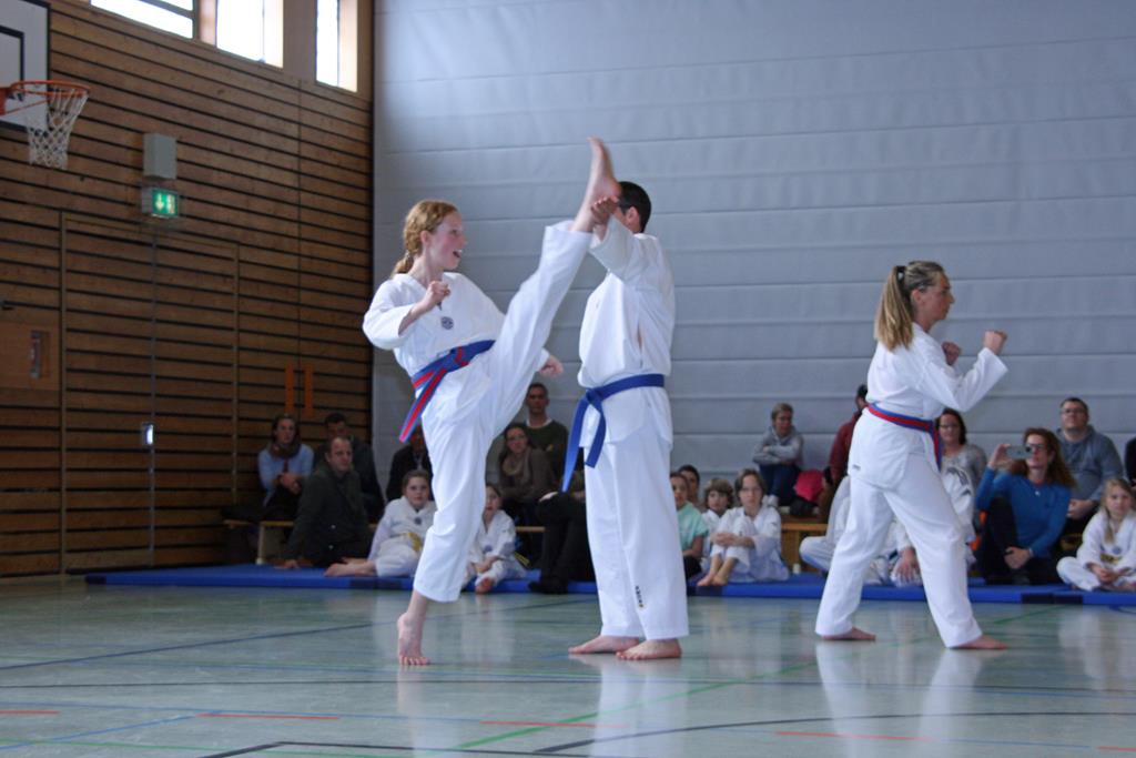 IMG_2278_bearbeitet-1