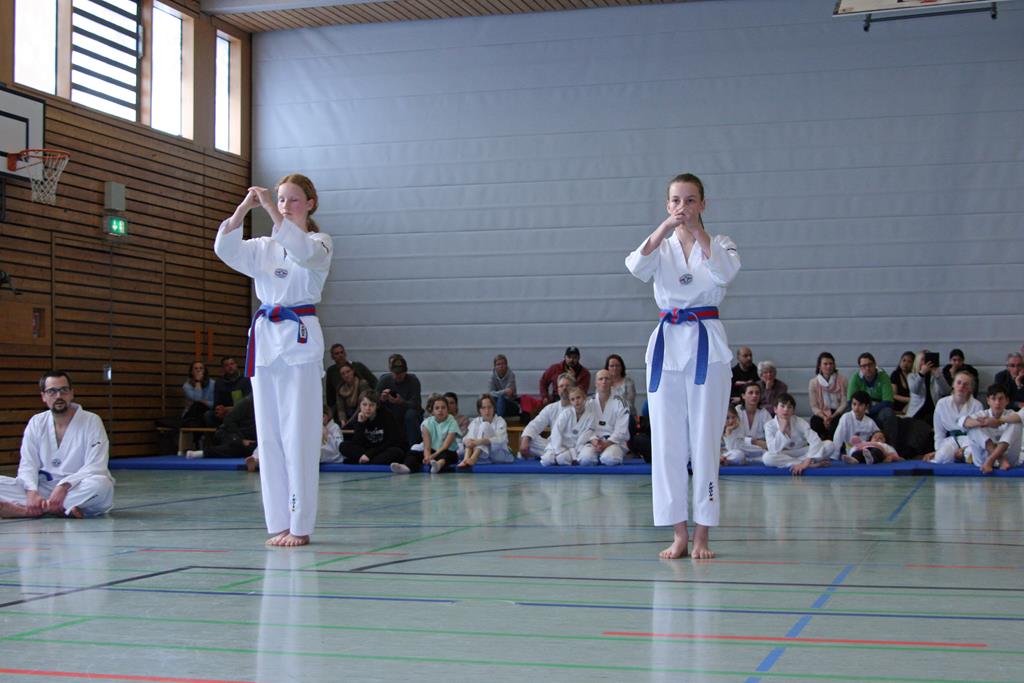 IMG_2304_bearbeitet-1