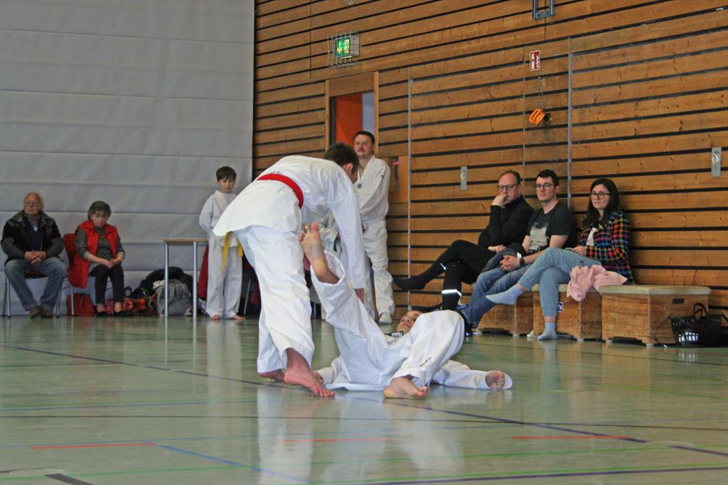 IMG_2316_bearbeitet-1