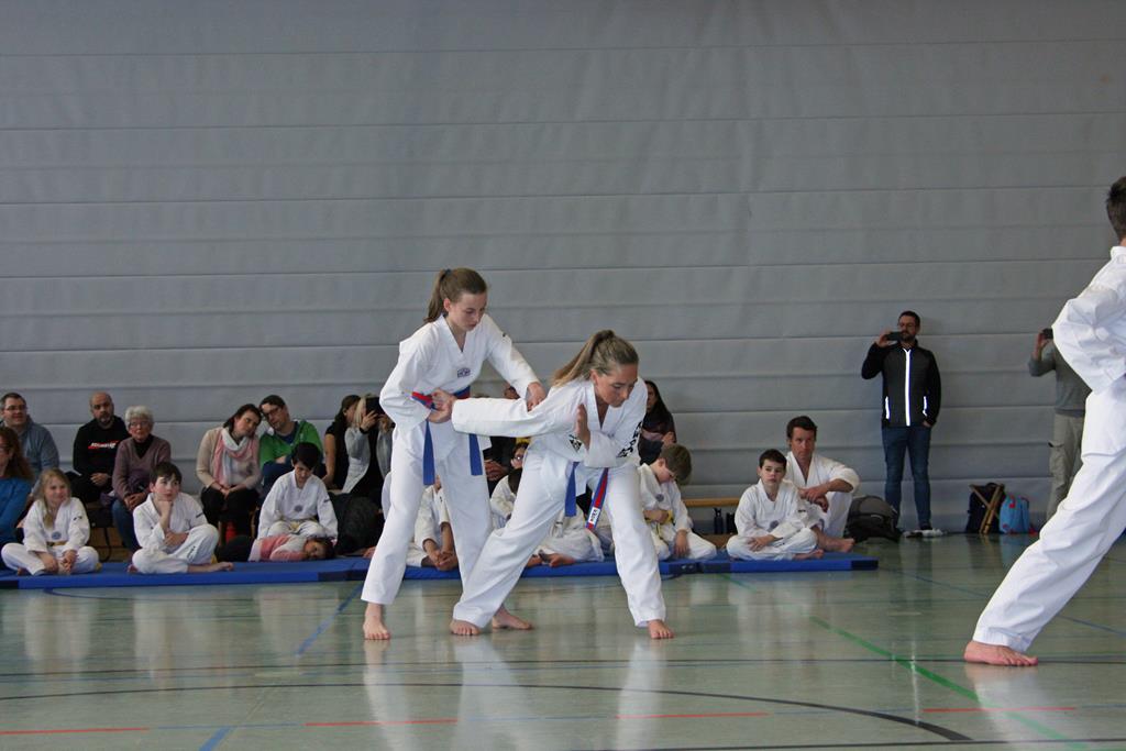 IMG_2329_bearbeitet-1