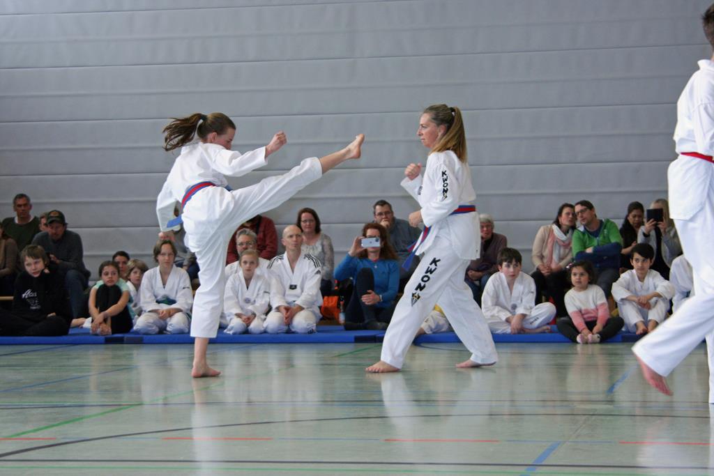 IMG_2345_bearbeitet-1