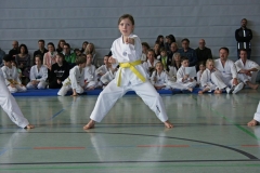 IMG_1897_bearbeitet-1