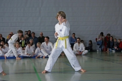 IMG_1898_bearbeitet-1