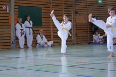 IMG_1902_bearbeitet-1