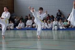 IMG_1904_bearbeitet-1