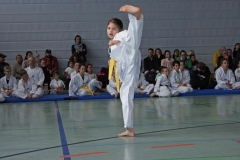 IMG_1910_bearbeitet-1