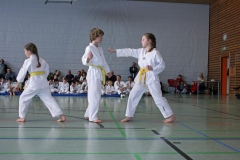 IMG_1919_bearbeitet-1