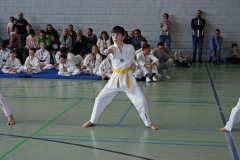 IMG_1936_bearbeitet-1