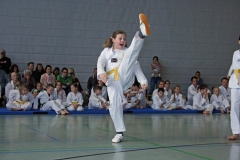 IMG_1945_bearbeitet-1