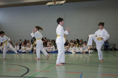 IMG_1969_bearbeitet-1