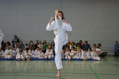 IMG_1986_bearbeitet-1