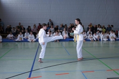 IMG_2005_bearbeitet-1
