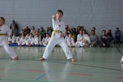 IMG_2013_bearbeitet-1