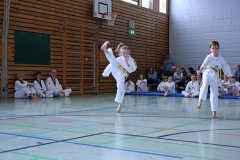 IMG_2020_bearbeitet-1