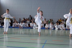 IMG_2022_bearbeitet-1