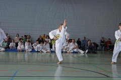 IMG_2023_bearbeitet-1