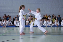 IMG_2039_bearbeitet-1