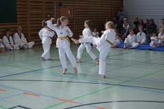 IMG_2050_bearbeitet-1