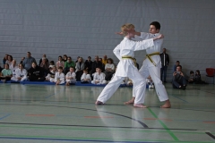 IMG_2068_bearbeitet-1