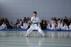 IMG_2077_bearbeitet-1
