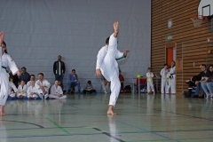 IMG_2085_bearbeitet-1