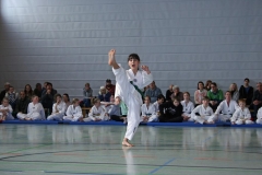 IMG_2091_bearbeitet-1