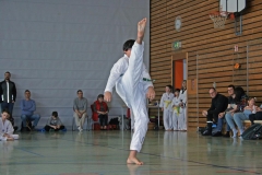 IMG_2092_bearbeitet-1