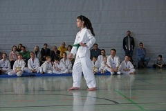 IMG_2098_bearbeitet-1