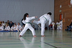IMG_2105_bearbeitet-1
