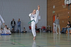 IMG_2174_bearbeitet-1