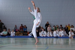 IMG_2176_bearbeitet-1
