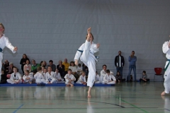 IMG_2181_bearbeitet-1