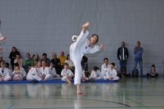 IMG_2185_bearbeitet-1