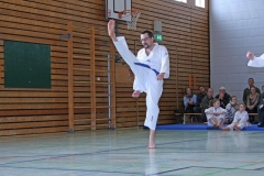 IMG_2239_bearbeitet-1