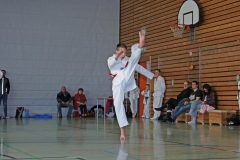 IMG_2243_bearbeitet-1