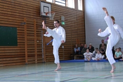 IMG_2244_bearbeitet-1
