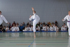IMG_2247_bearbeitet-1