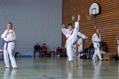 IMG_2249_bearbeitet-1