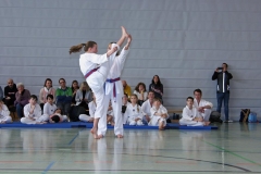 IMG_2277_bearbeitet-1