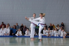 IMG_2280_bearbeitet-1