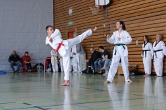 IMG_2285_bearbeitet-1