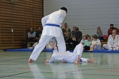 IMG_2317_bearbeitet-1