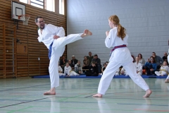 IMG_2347_bearbeitet-1