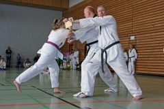 IMG_2369_bearbeitet-1