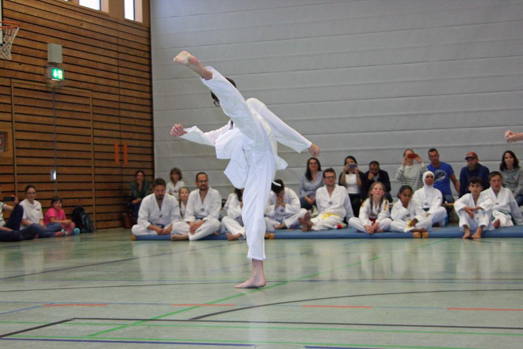 IMG_7224_bearbeitet-1