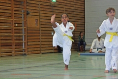 IMG_6786_bearbeitet-1