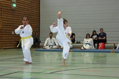 IMG_6790_bearbeitet-1